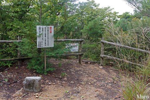 約220m小ピーク 大内山の山頂 龍安寺と仁和寺の裏山 2016年9月