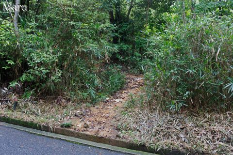 御室～原谷の車道から大内山ハイキングコースの取付 2016年9月