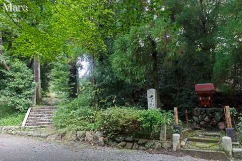 御室八十八ヶ所から宇多天皇陵参道へ岐れる石段 2016年9月