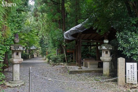 成就山 「御室八十八ヶ所」出口（下山口） 2016年9月