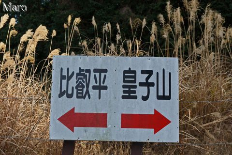 車道の「←比叡平・皇子山→」道標 比叡平、池の谷地蔵、皇子山CCの分岐付近