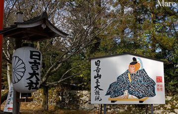 申年の猿 日吉山王大権現 日吉大社 干支絵馬 2016年1月