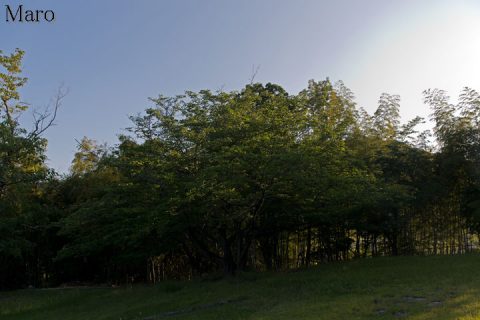 皇子山古墳 山頂 標高164m 滋賀県大津市 2016年6月