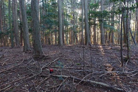 大津市や京都市が長等山としている約400m小ピーク 境界杭 2016年10月