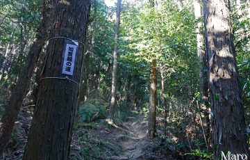 坊越峠 「如意越の道」標 長等山の登山道 2016年10月