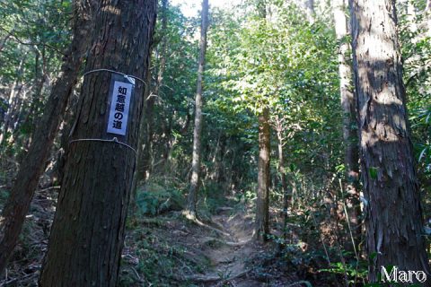 坊越峠 「如意越の道」標 長等山の登山道 2016年10月