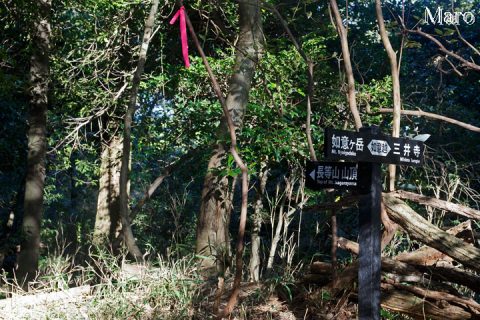 古道「如意越」 長等山山頂・如意ヶ岳・三井寺分岐 2016年10月