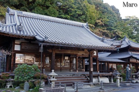 高観音近松寺 三井寺別所 上栄町～長等公園 2016年10月