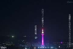ハロウィンで紫の京都タワーと京都駅の巨大ツリー試験点灯 2016年10月