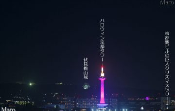 京都 タワー ライト アップ