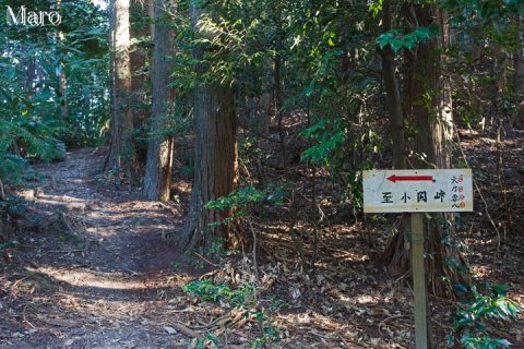 如意越 坊越峠 「←至小関峠」道標 2016年10月