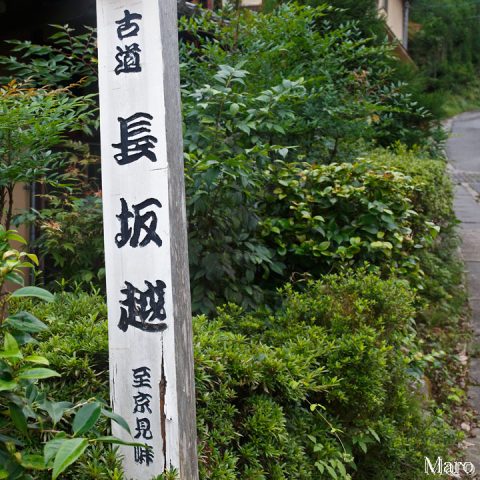 古道 長坂越 道標 鷹峯千束から京見峠に至る 2016年10月