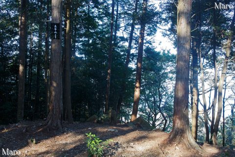 如意越 長等山 標高点354m峰 滋賀県大津市 2016年10月