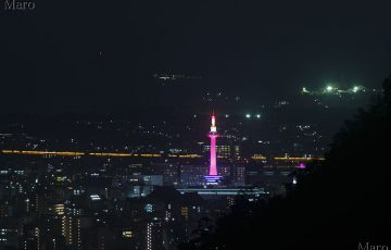 ピンク色にライトアップされた京都タワーを釈迦谷山から遠望 ピンクリボン京都2016