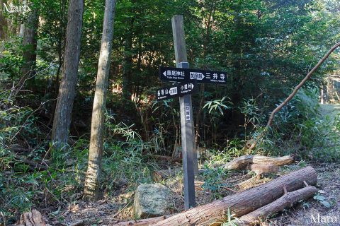 坊越峠 古道「如意越」 三井寺・小関峠・藤尾神社・長等山分岐