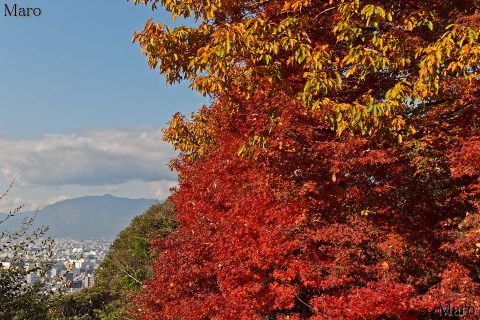 稲荷山四ツ辻 紅葉と愛宕山 伏見稲荷 京都一周トレイル 2009年12月