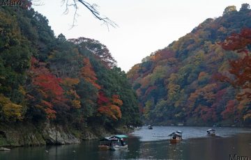 保津川（大堰川）の紅葉 右岸は嵐山 左岸は小倉山・亀山公園 2016年11月