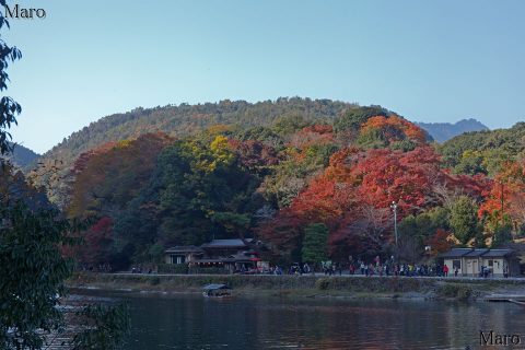 大堰川の紅葉 対岸は小倉山 右奥に愛宕山の山頂も 2016年11月 大堰川の紅葉 対岸は小倉山 右奥に愛宕山の山頂も 2016年11月