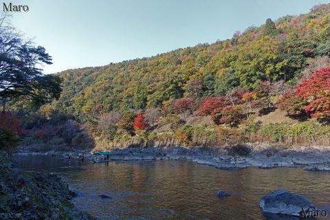 保津川の紅葉 旧舟曳路の取付 星のや・大悲閣の下 対岸は小倉山 2016年11月