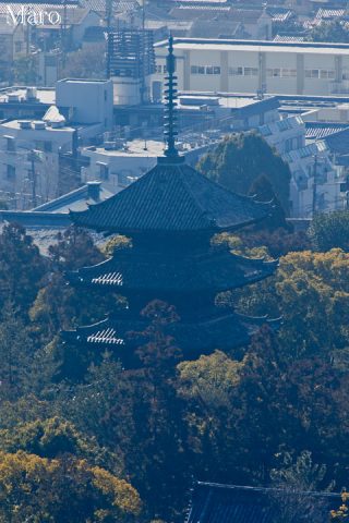 仁和寺五重塔を御室成就山から遠望 2016年2月