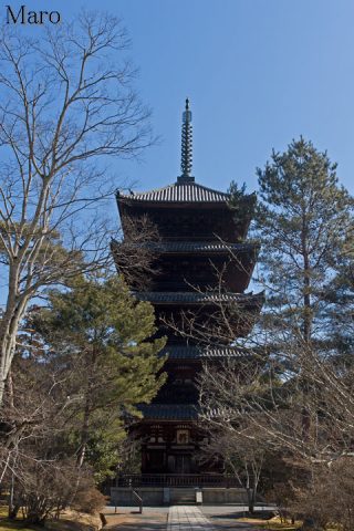 御室仁和寺 五重塔 京都市右京区 2016年2月