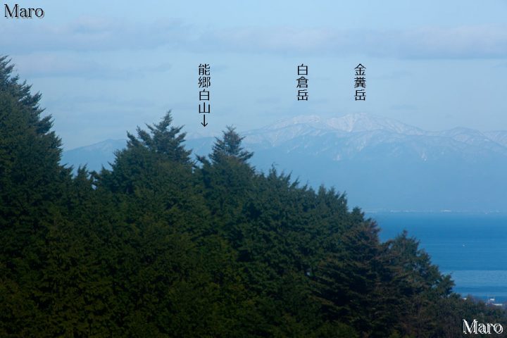 能郷白山を金糞岳や白倉岳の山肩越しに八王子山から遠望 日吉大社 2016年12月