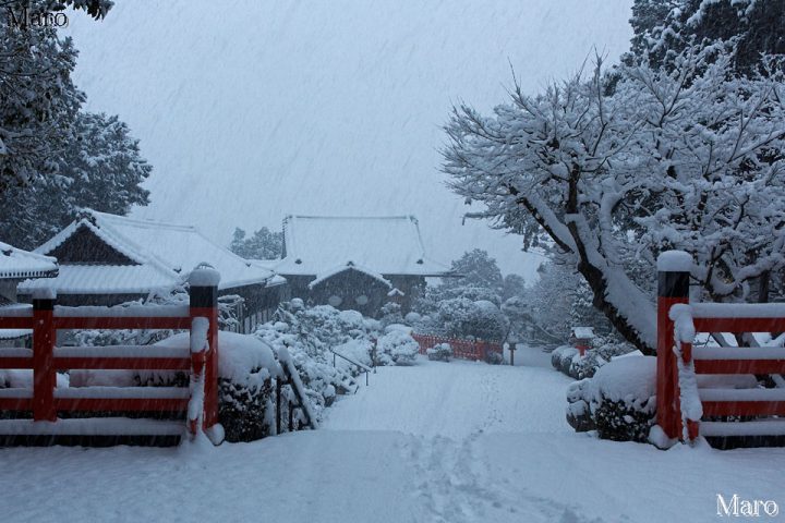 吹雪く建勲神社 京都の船岡山も雪で真っ白 2017年1月15日の夜明け