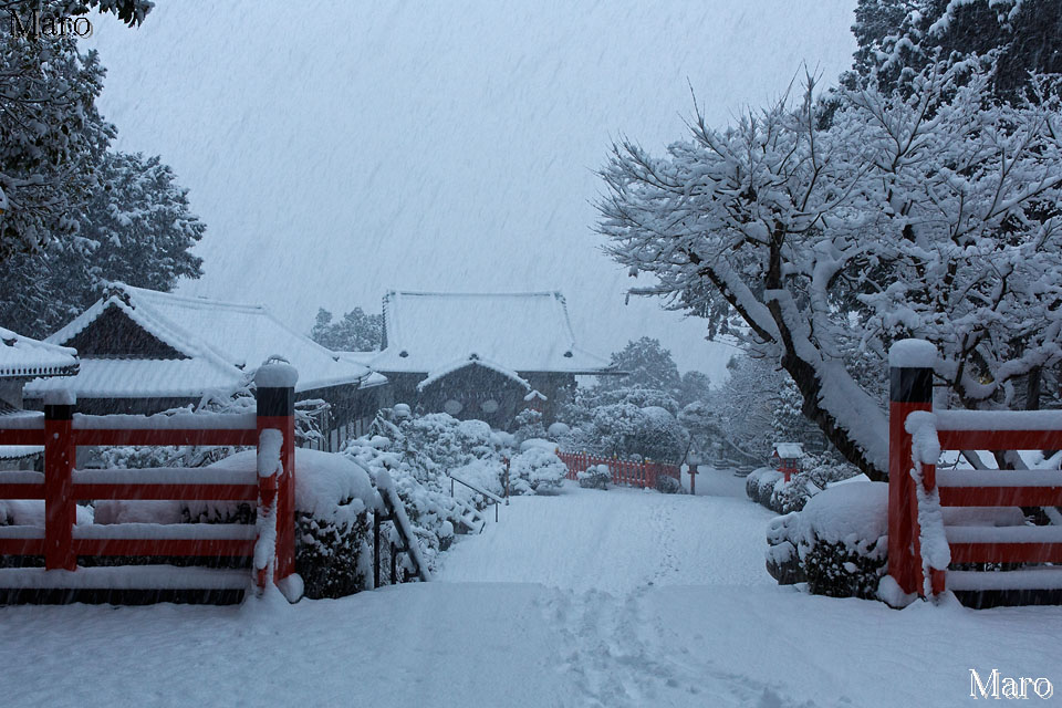 建勲神社と船岡山の積雪状況 大雪の京都 17年1月15日の朝