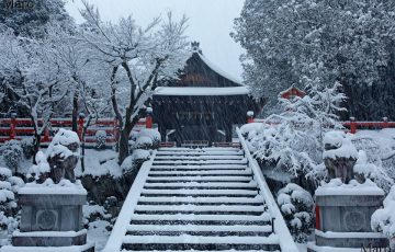 大雪の建勲神社 深く積雪する境内 京都市北区 2017年1月15日7時頃