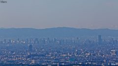 焼山から大阪の高層ビル群、あべのハルカスを遠望 和泉山脈