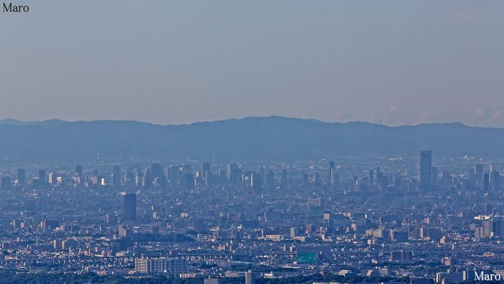 焼山から大阪の高層ビル群、あべのハルカスを遠望 和泉山脈