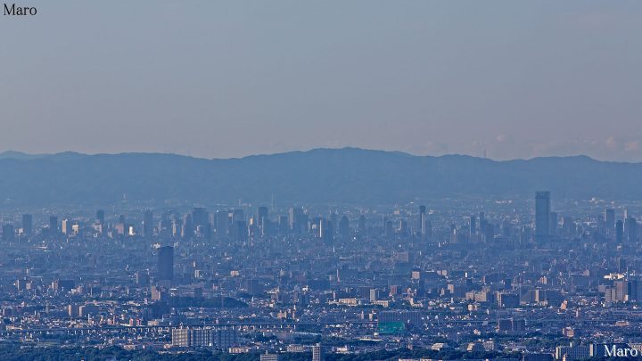 焼山から大阪の高層ビル群、あべのハルカスを遠望 和泉山脈 焼山から大阪の高層ビル群、あべのハルカスを遠望 和泉山脈