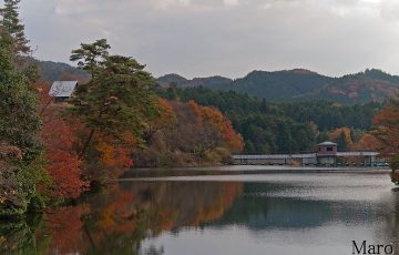 紅葉する大正池 ため池百選 2009年11月末