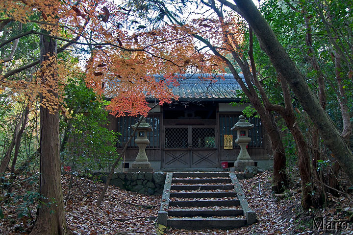 粟神社 紅葉 京都府城陽市 2009年11月末 粟神社 紅葉 京都府城陽市 2009年11月末