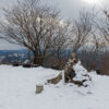 積雪する峰床山の山頂 京都北山 京都府京都市左京区 2014年12月