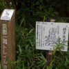 瓜生山 元・勝軍地蔵石室 説明板 京都一周トレイル道標「東山59-3」