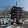 雪の瑞岳寺・五重塔と瑞岳寺・金閣 彦根・佐和山遊園 2016年1月
