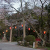 水分れ公園 いそ部神社の桜 兵庫県丹波市 2013年4月