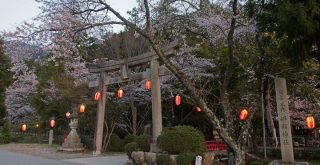 水分れ公園 いそ部神社の桜 兵庫県丹波市 2013年4月