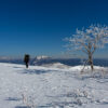 霊仙山 最高点と三角点を結ぶ稜線 白い雪原を歩く 2013年3月