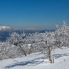 伊吹山、白山と樹氷 真っ青な空 真っ白な雪原 霊仙山にて 2013年3月